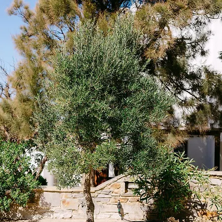 Blue Zircon ヴィラ ステリダ