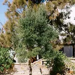 Blue Zircon Villa Stelida (Naxos)