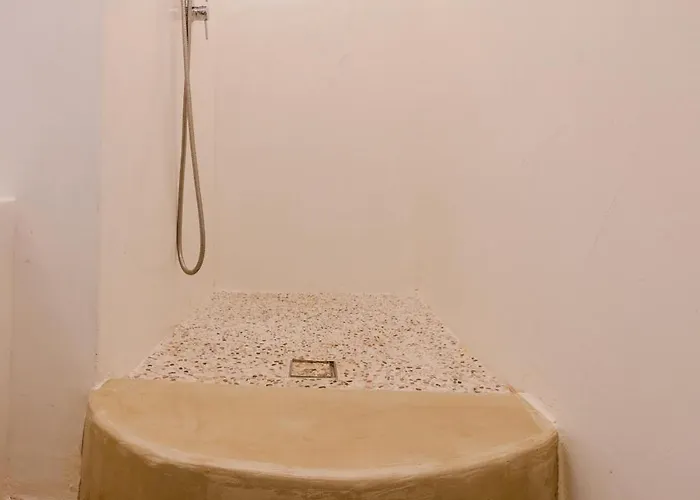 فيلة Blue Zircon *