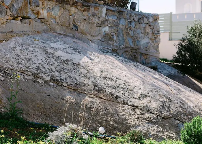 فيلة Blue Zircon